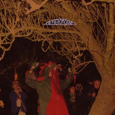 THE PHEROMOANS - Does This Guy Stack Up? | CD