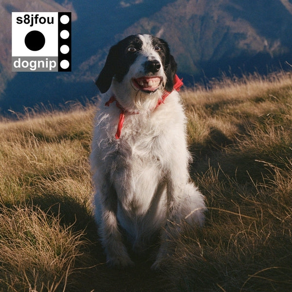 S8Jfou | Dognip | Vinyl