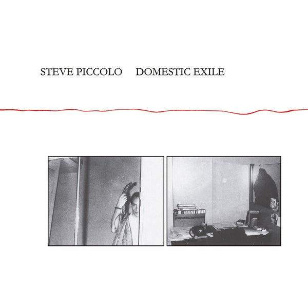 STEVE PICCOLO - Domestic Exile | Vinyl