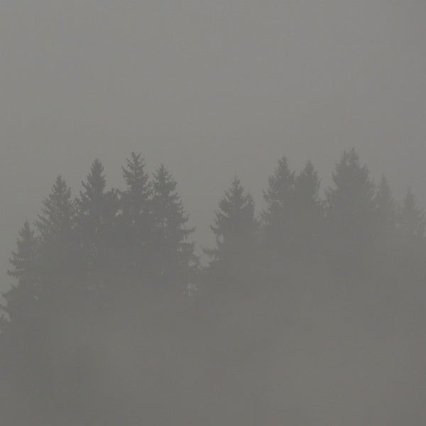 MAX LODERBAUER - Donnerwetter | Vinyl