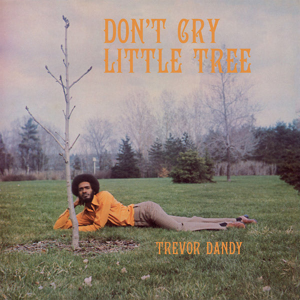 TREVOR DANDY - Don't Cry Little Tree | Vinyl