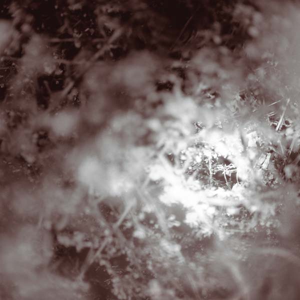 MIKE WEIS - Don't Know, Just Walk | Vinyl
