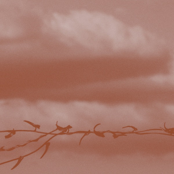 GENEVA SKEEN - Double Bind | CD