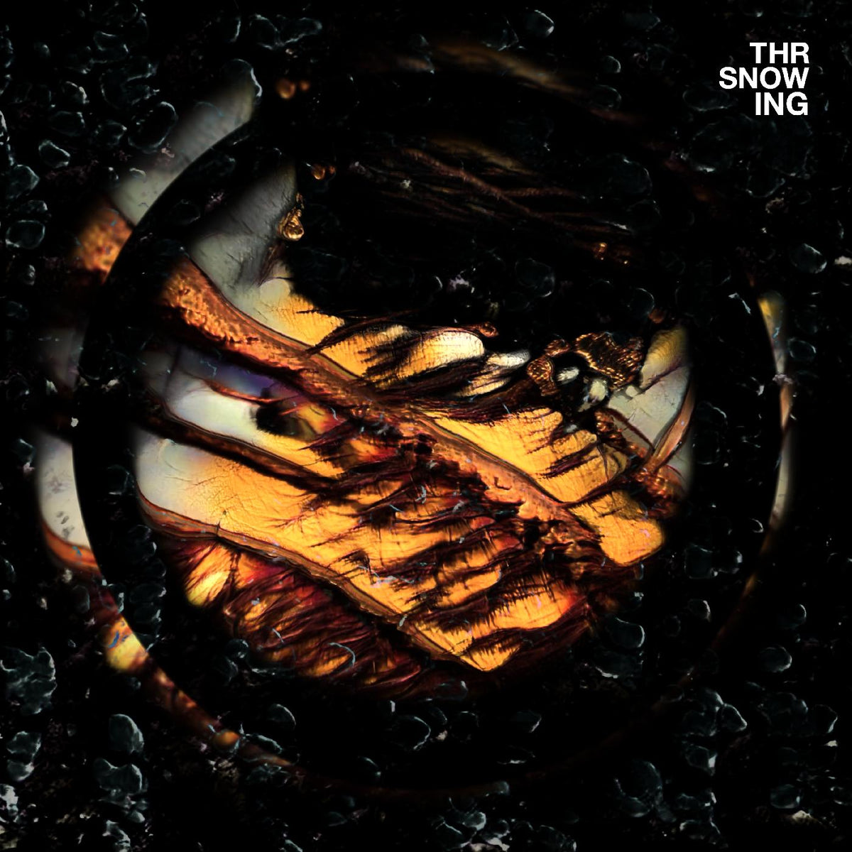 Throwing Snow - Dragons (MARBLED ORANGE VINYL) | Vinyl