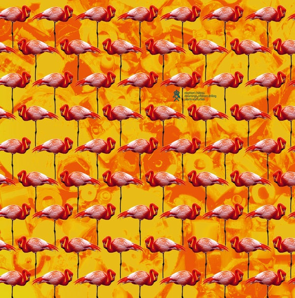 ELEPHANT CHATEAU - Dreamings & Offshore Drilling - Pearls And Turtles | Vinyl