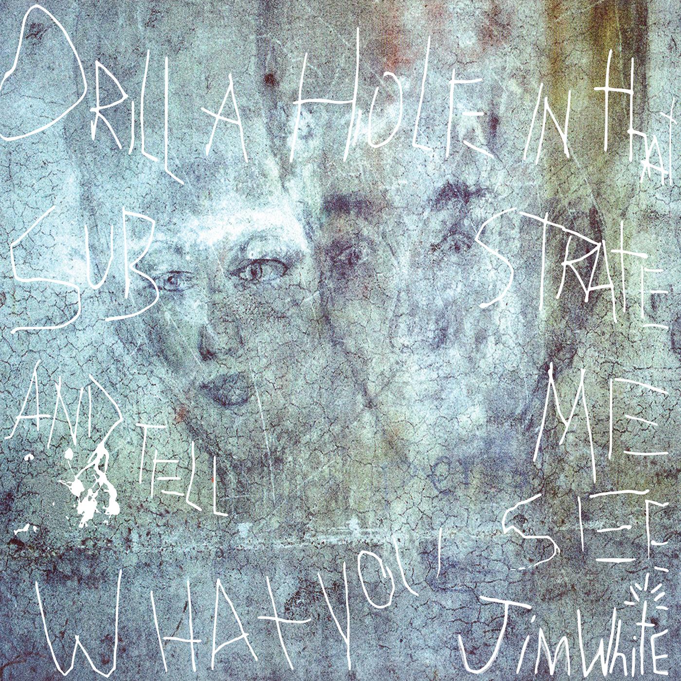Jim White | Drill a Hole in That Substrate and Tell Me What You See | Vinyl