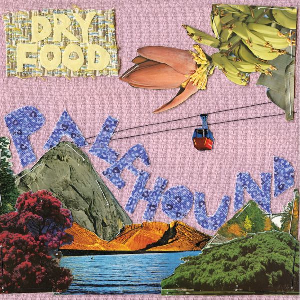 Palehound - Dry Food | Vinyl