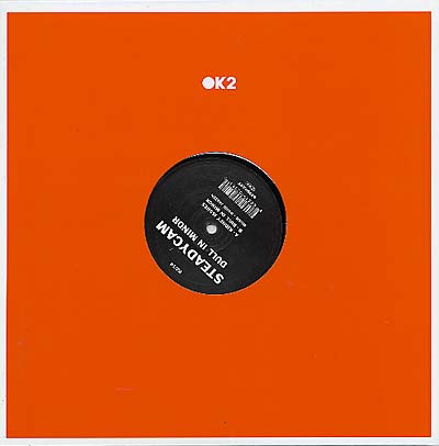 STEADYCAM - Dull In Minor | Vinyl