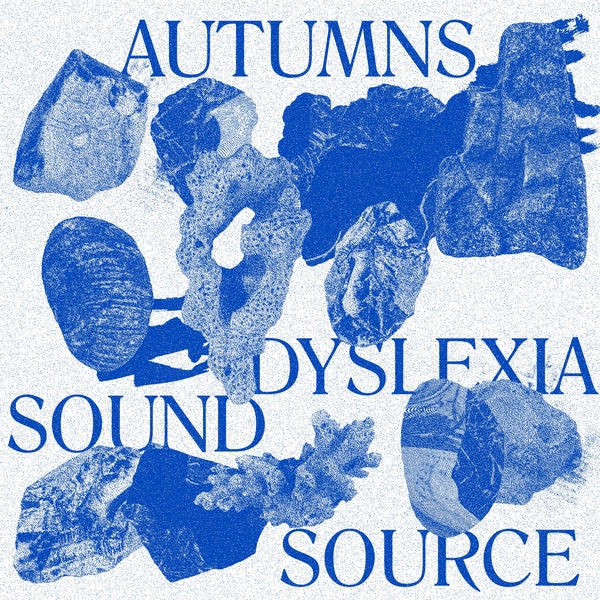 AUTUMNS - Dyslexia Sound Source | Vinyl