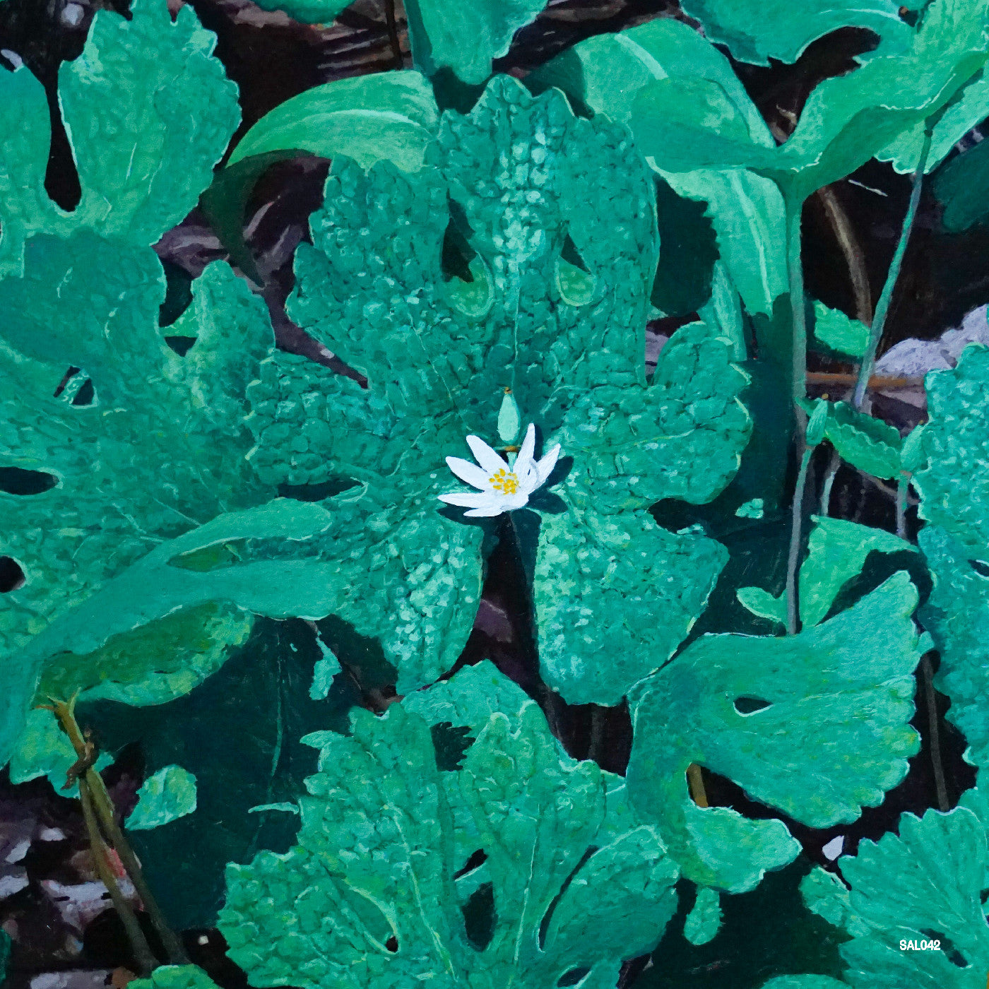 Early Fern | Wetland Interiors | Vinyl