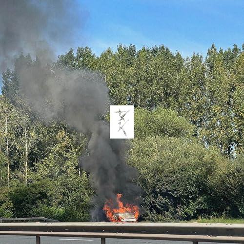 Eden | Dark | Vinyl
