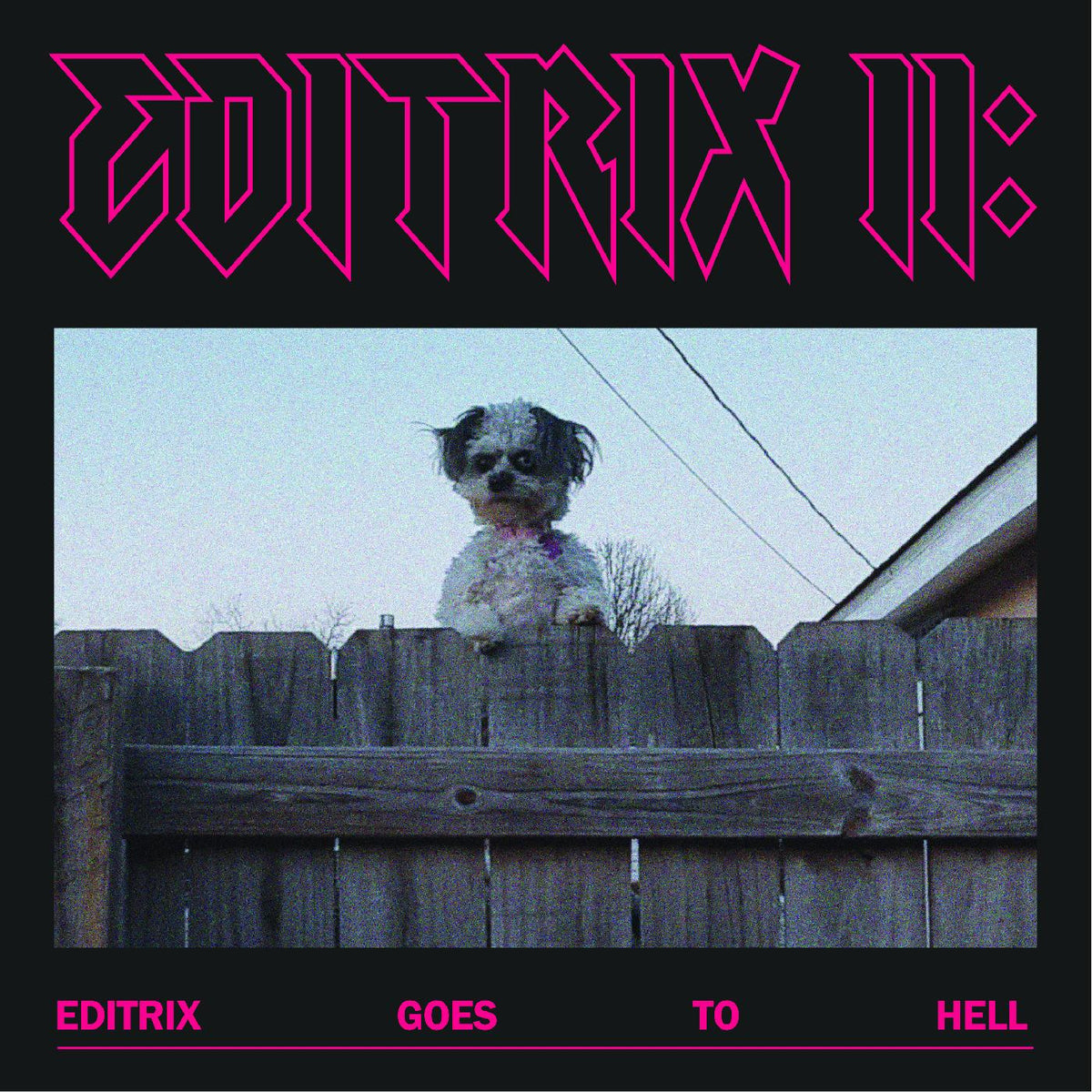 Editrix - Editrix II: Editrix Goes To Hell | Vinyl