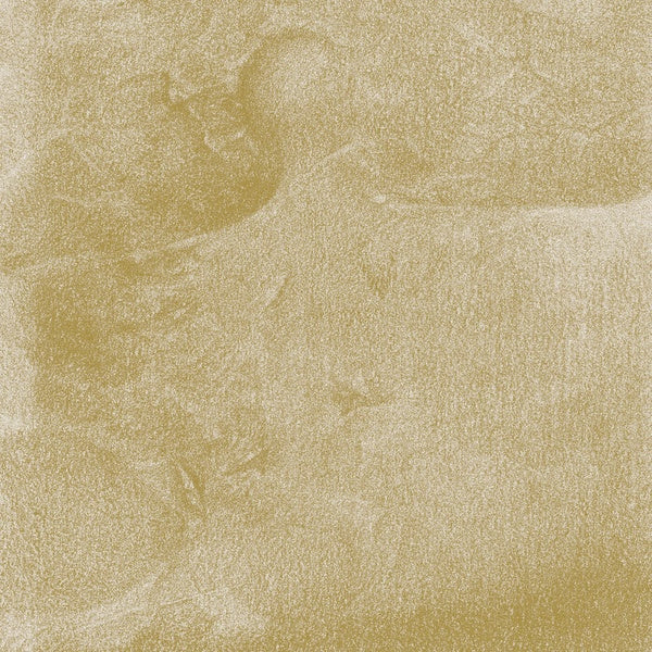 SIAVASH AMINI - Eidolon | CD