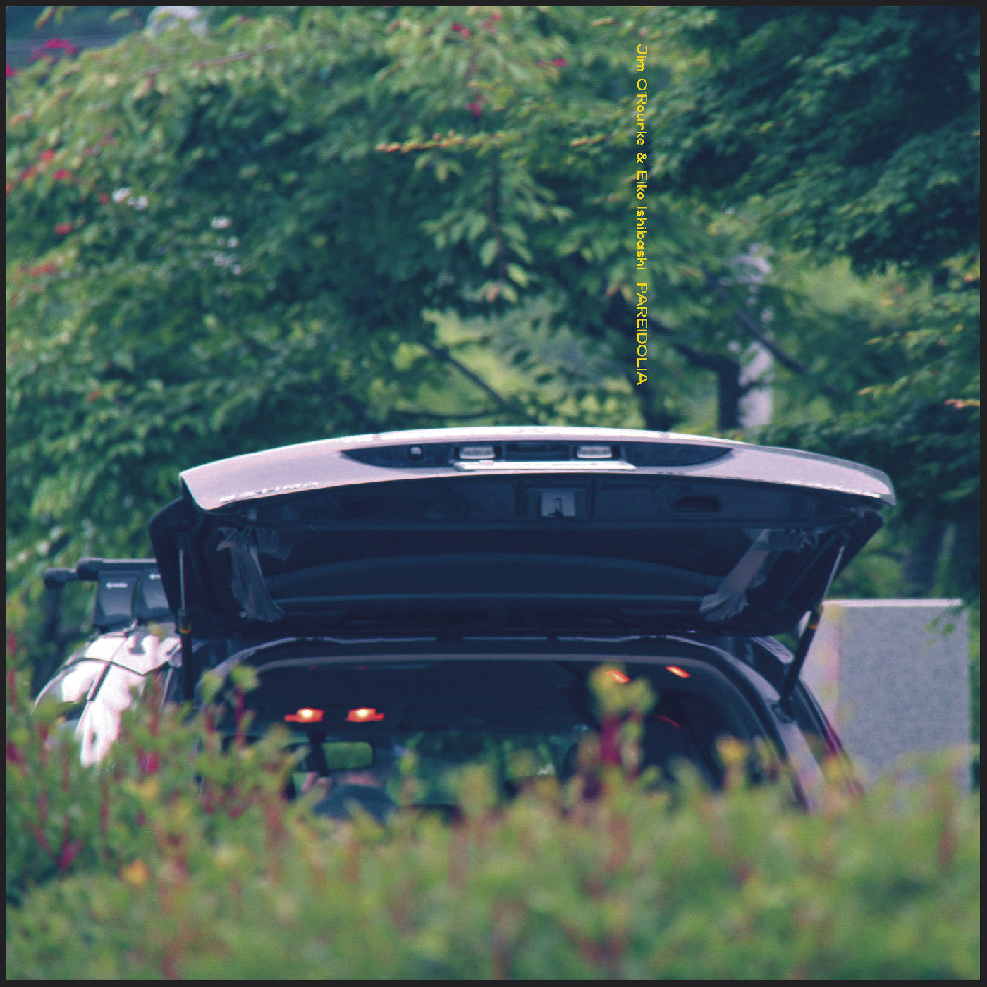 Eiko & Jim O'Rourke Ishibashi | Pareidolia | Vinyl