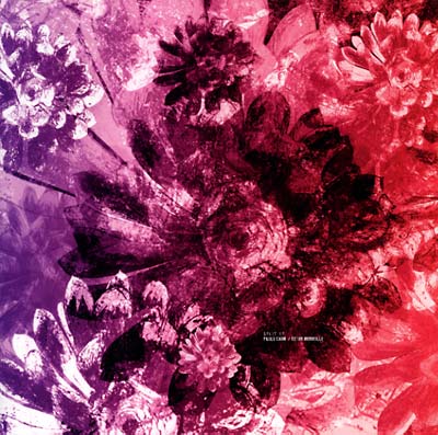 PABLO CAHN/CESAR MERVEILLE - Elle/FK | Vinyl