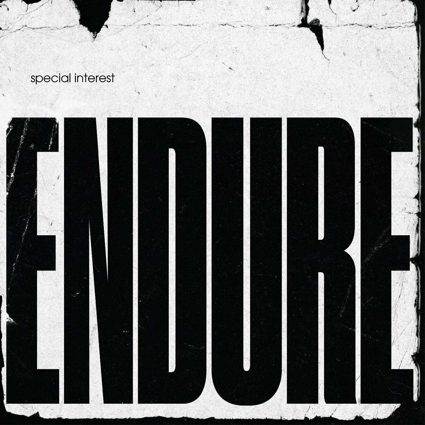Special Interest - Endure | CD
