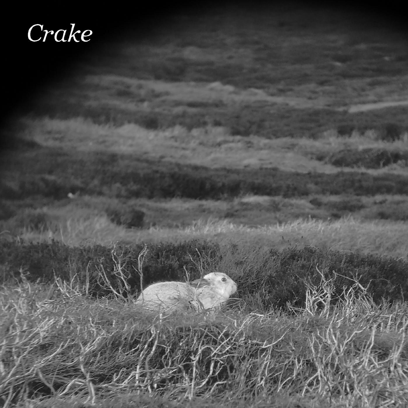 Crake | Enough Salt (For All Dogs) b/w Gef | Vinyl