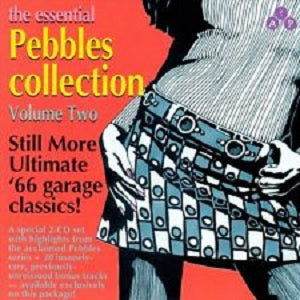 Various Artists - Essential Pebbles Vol. 2 | CD