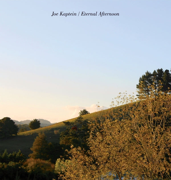 Joe Kaptein - Eternal Afternoons | Vinyl