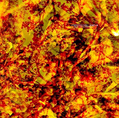 ARGY/LEE VAN DOWSKI - Ethiopia's Rise/Bimbam | Vinyl
