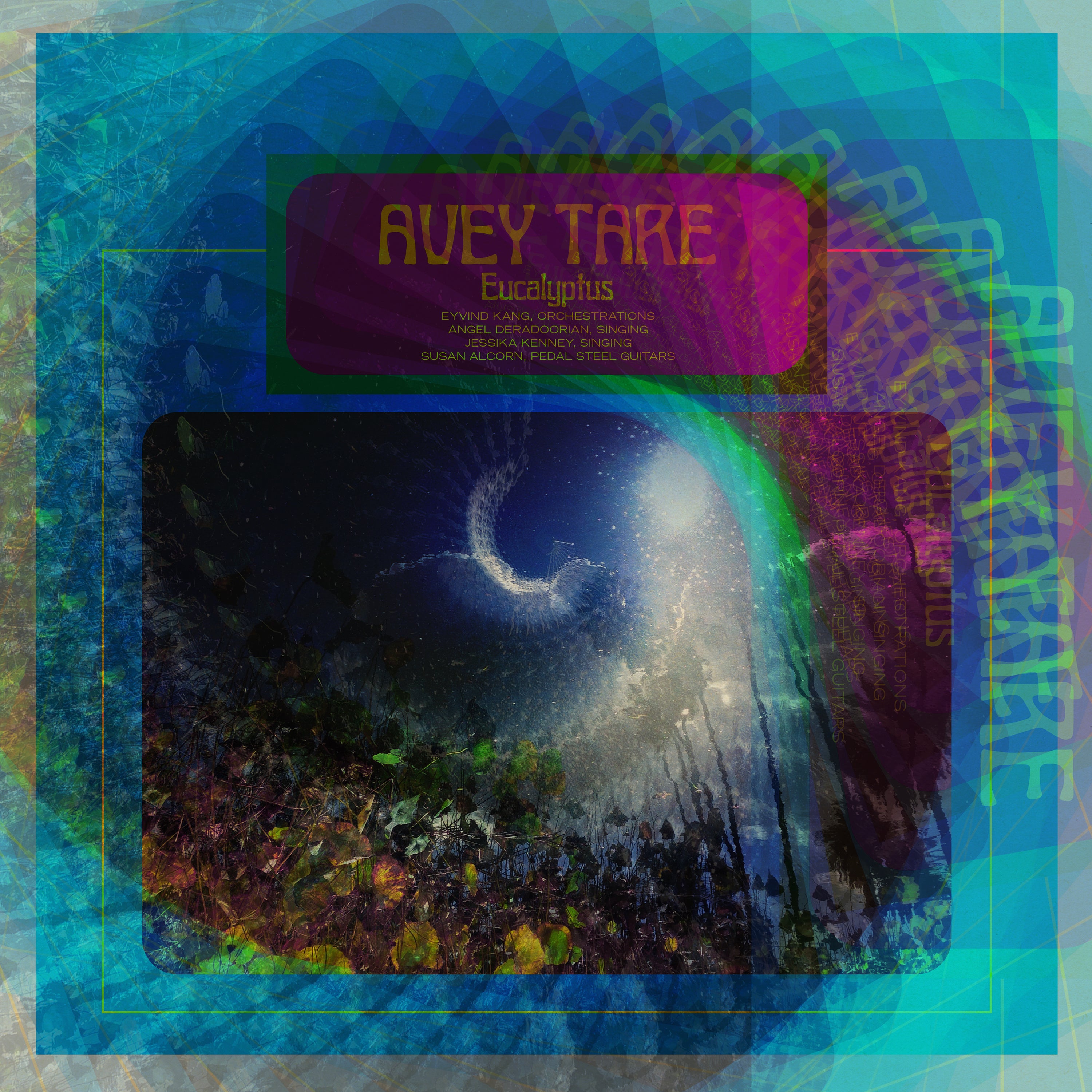 Avey Tare | Eucalyptus | Vinyl