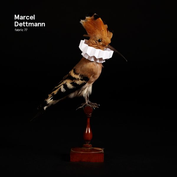 Marcel Dettmann - Fabric 77 : | CD