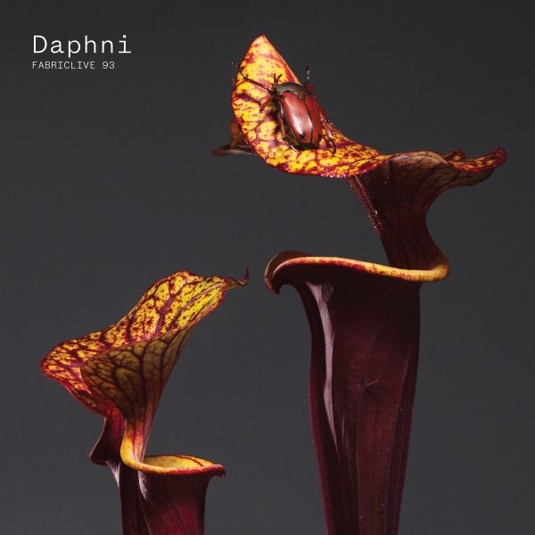 Daphni - Fabriclive 93 : | CD
