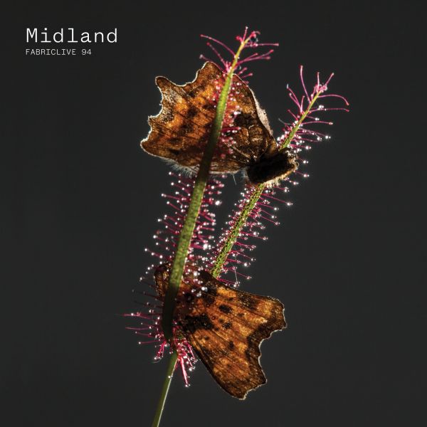 Midland | Fabriclive 94 : | CD