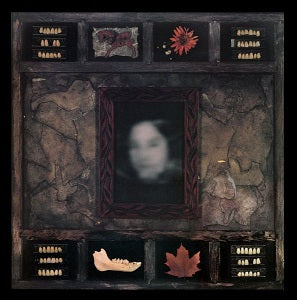 Dazzling Killmen - Face Of Collapse | CD