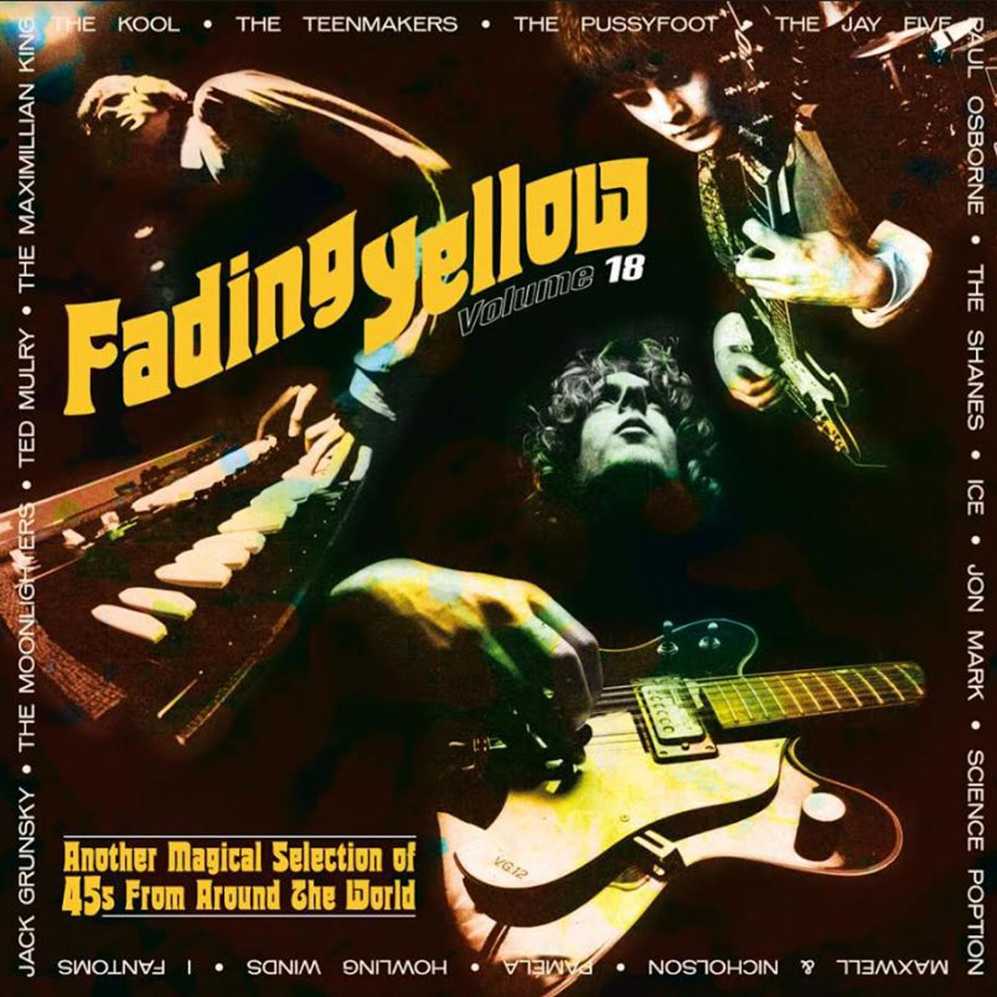 Various Artists - Fading Yellow Vol. 18 | CD