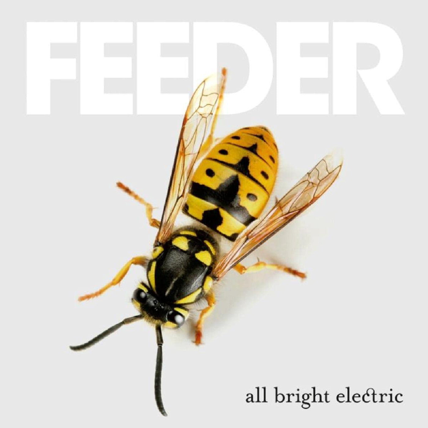 Feeder - All Bright Electric (Deluxe Edition) | CD