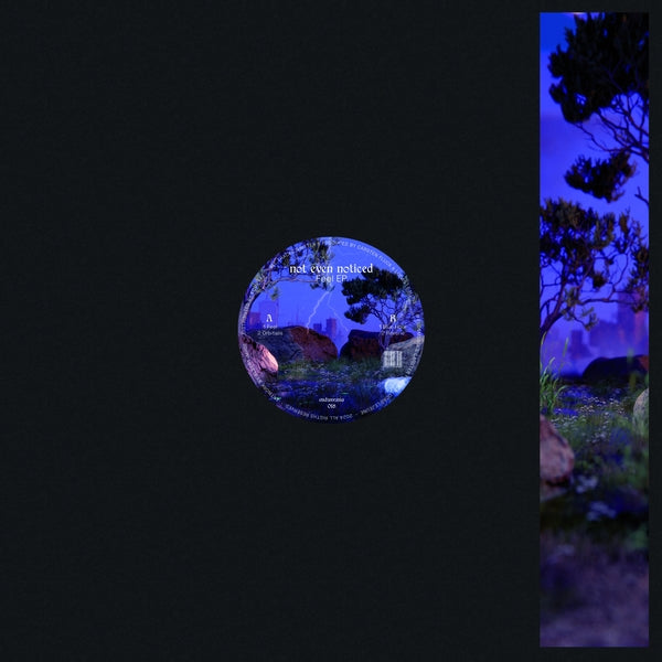 Not Even Noticed - Feel | Vinyl