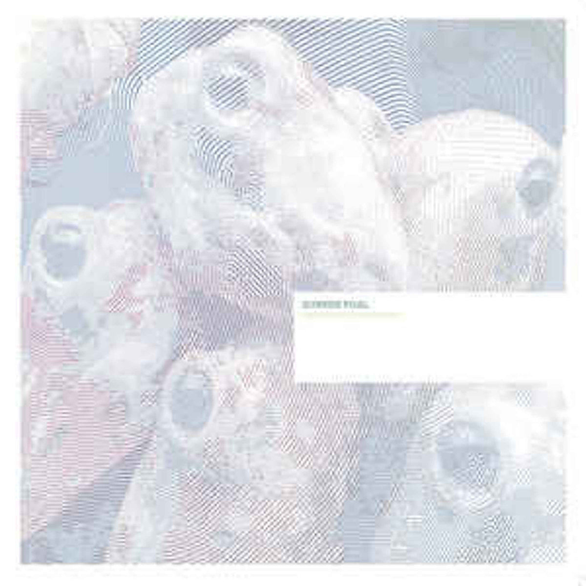 Sunken Foal - Fermented Condiments - 12" | Vinyl