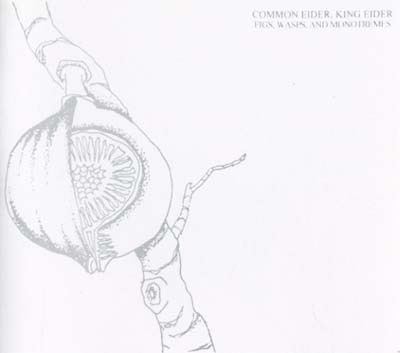 COMMON EIDER, KING EIDER - Figs, Wasps, And Monotremes | CD