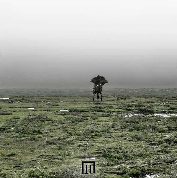 MARKUS WORMSTORM - Figure In Field | Vinyl