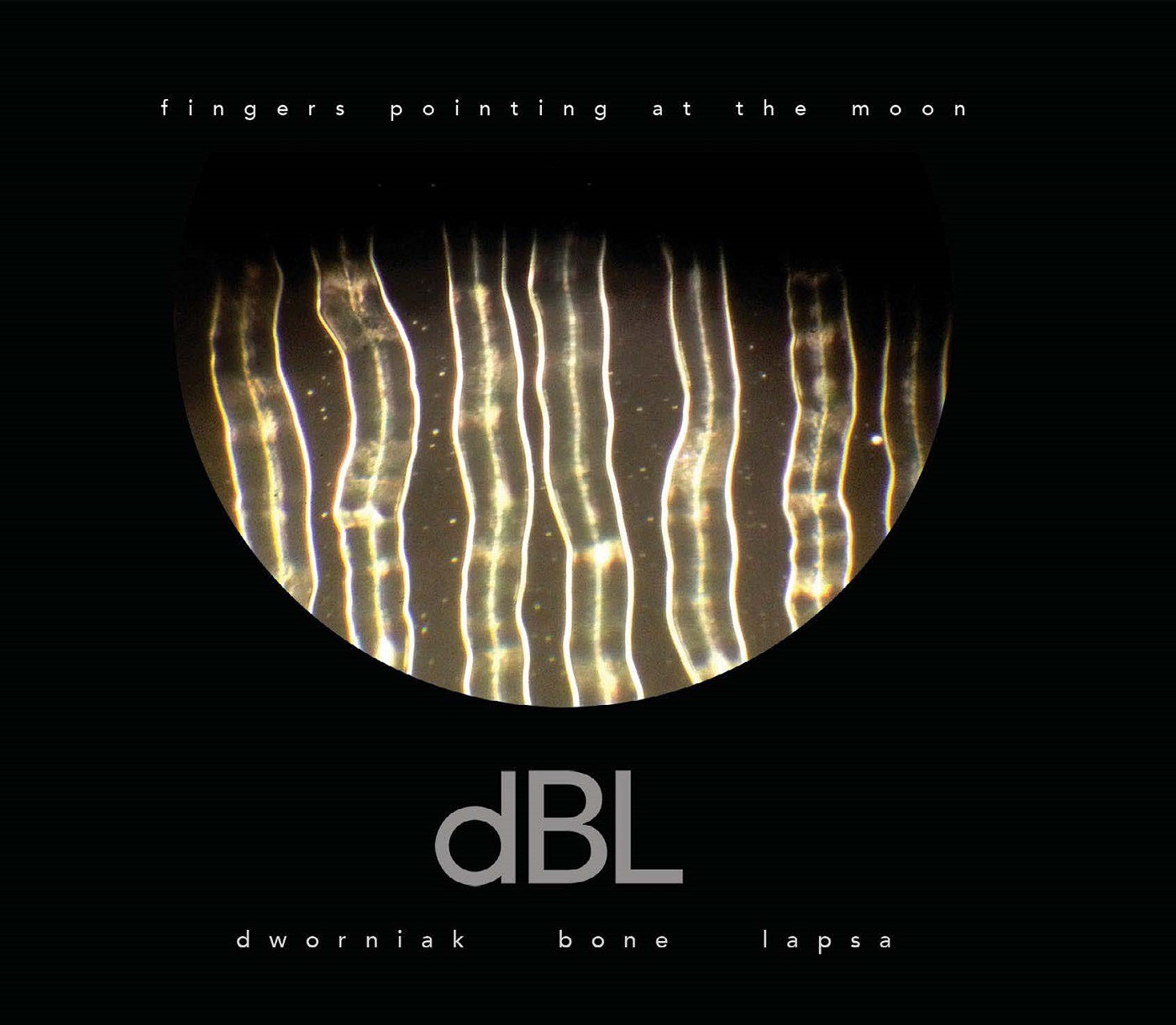 Dworniak Bone Lapsa | Fingers Pointing At The Moon | Vinyl