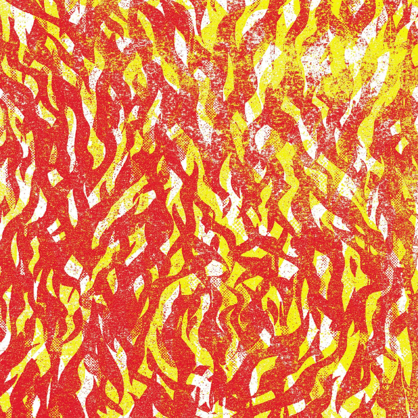 The Bug | Fire | CD