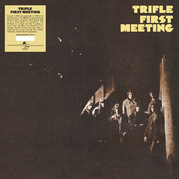 TRIFLE - First Meeting | Vinyl