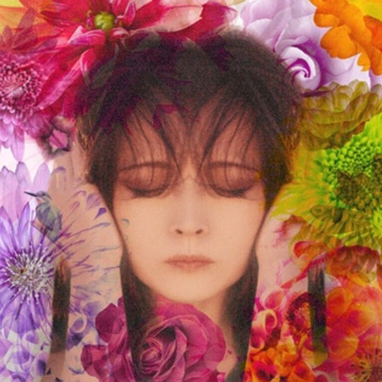 Akina Nakamori - Fixer | Vinyl