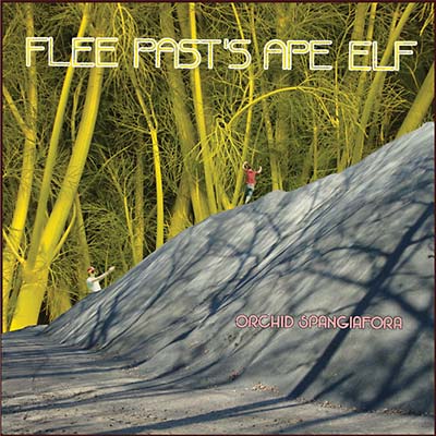 ORCHID SPANGIAFORA - Flee Past's Ape Elf | Vinyl