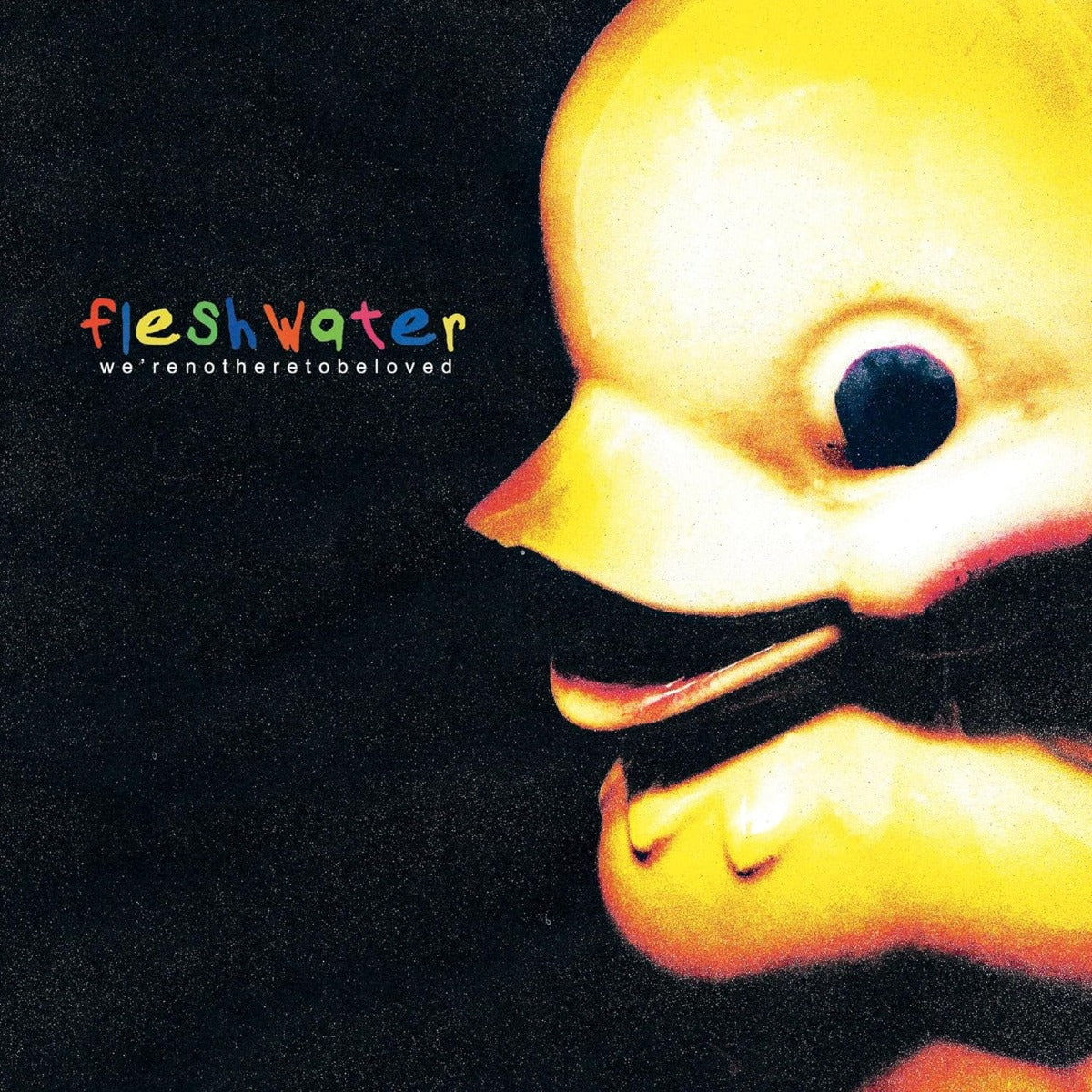 Fleshwater | We're Not Here To Be Loved | CD