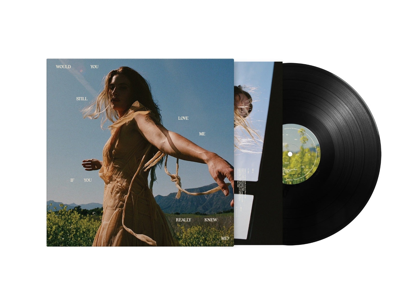 Fletcher - Would You Still Love Me If You Really Knew Me? [Lp] | Vinyl
