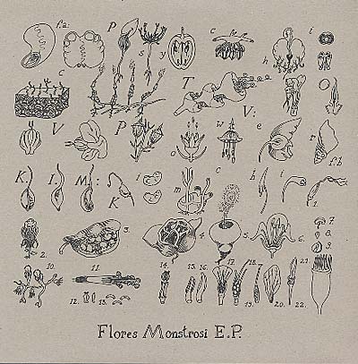 K.I.M. - Flores Monstrosi | Vinyl