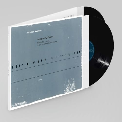 Florian Weber - Imaginary Cycle [2 LP] | Vinyl