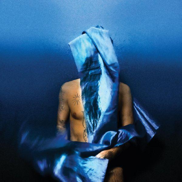 Devendra Banhart - Flying Wig | CD