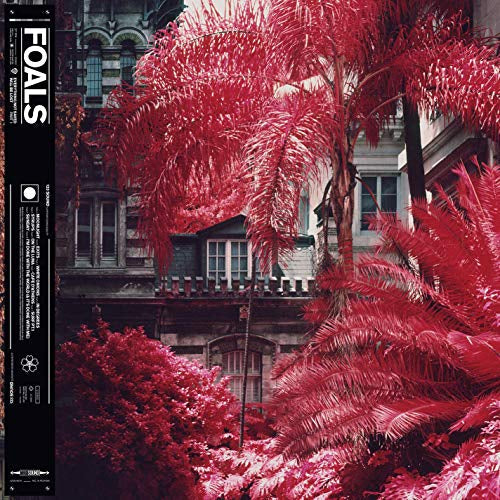 Foals - Everything Not Saved Will Be Lost [Part 1] (LP) | Vinyl