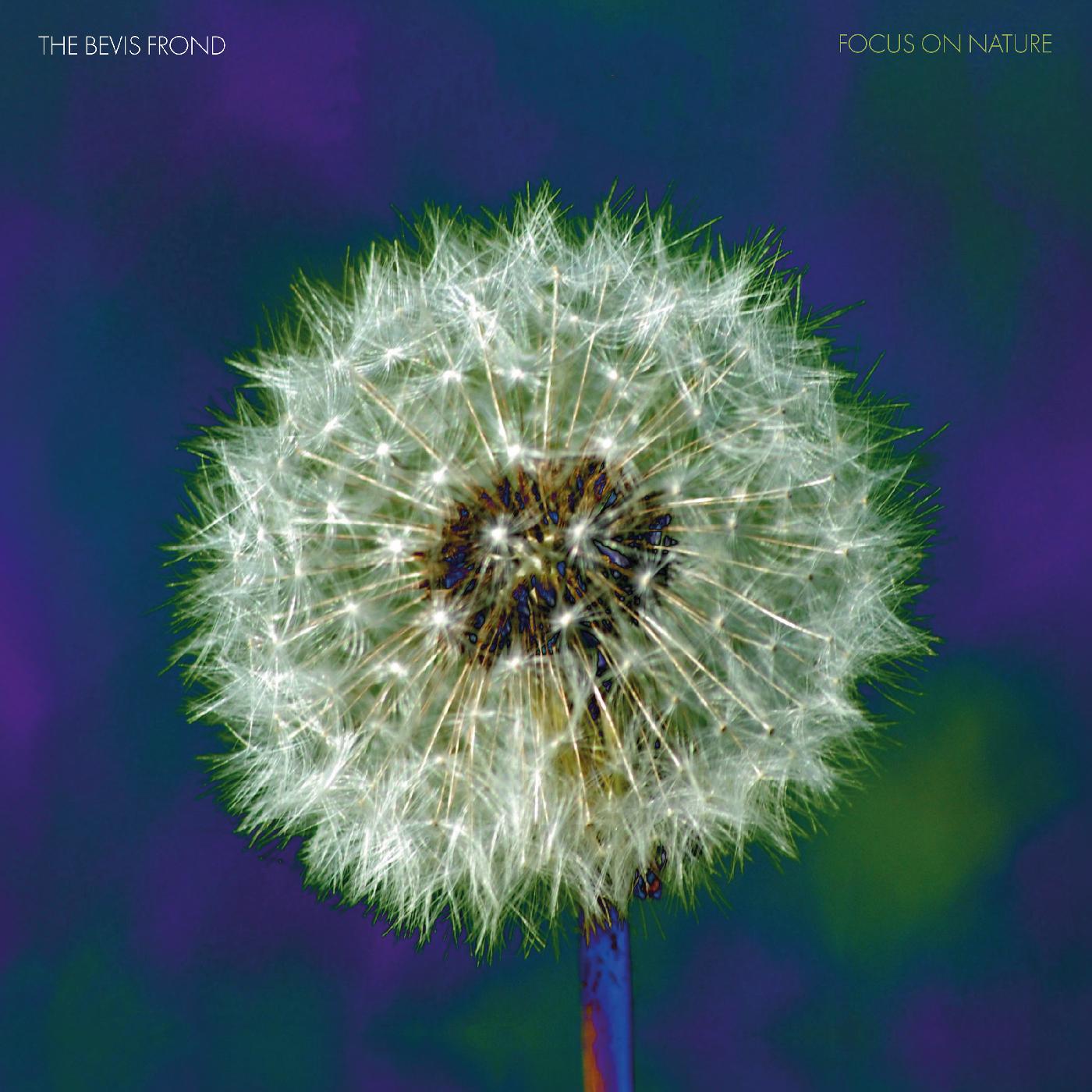 The Bevis Frond | Focus on Nature (PURPLE VINYL) | Vinyl