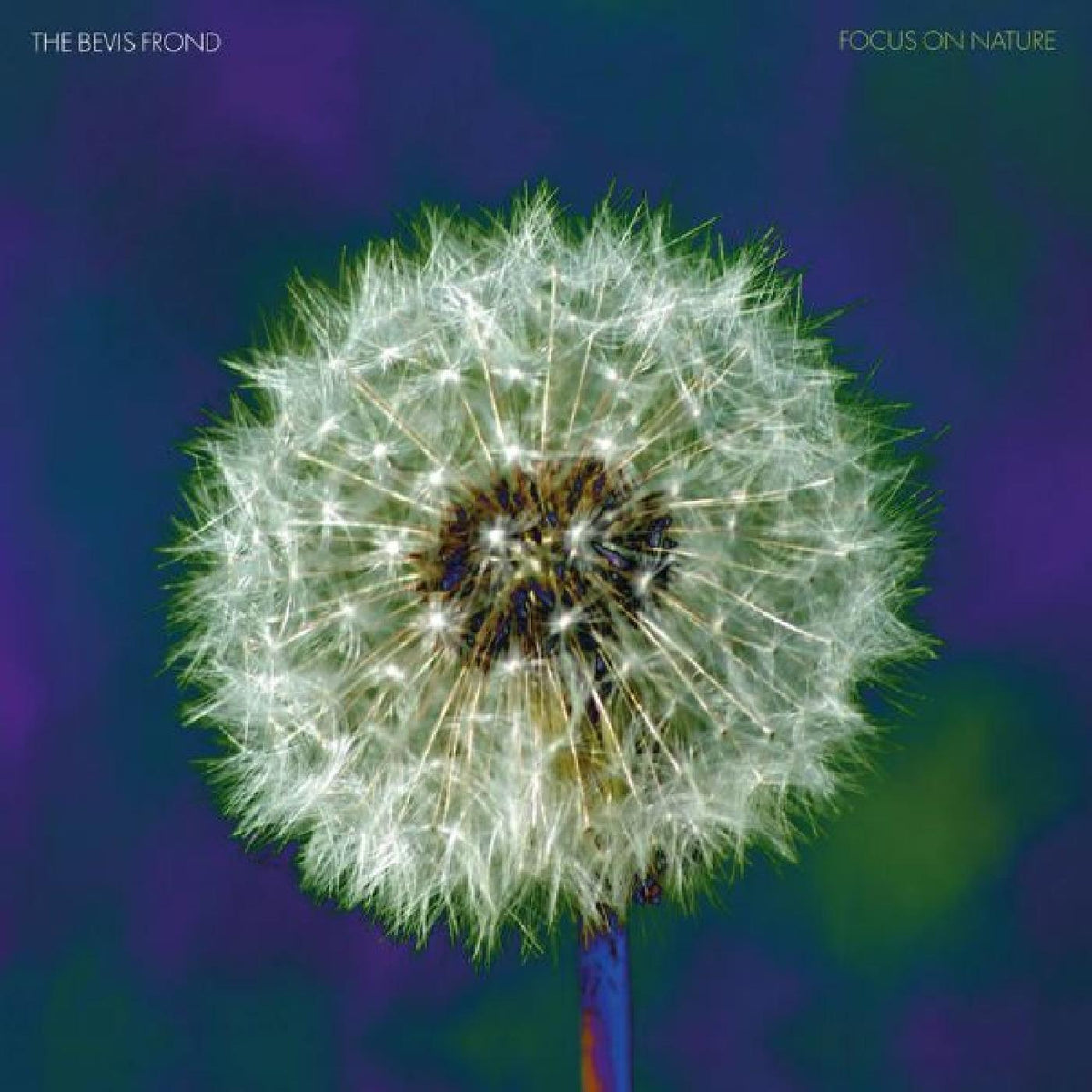 The Bevis Frond - Focus on Nature | Vinyl