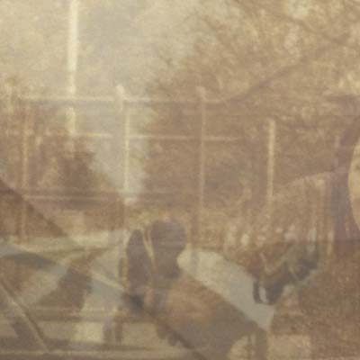 EZEKIEL HONIG - Folding In On Itself | Vinyl
