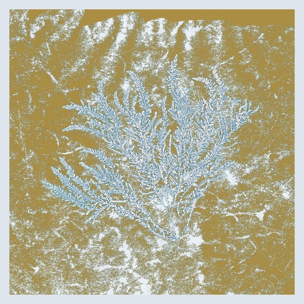 Huerco S. | For Those Of You Who Have Never (And Also Those Who Have) | Vinyl